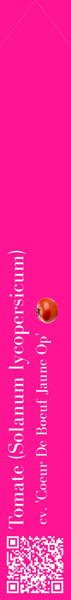 Étiquette de : Solanum lycopersicum cv. 'Coeur De Boeuf Jaune Op' - format c - style blanche43_simplebod avec qrcode et comestibilité simplifiée