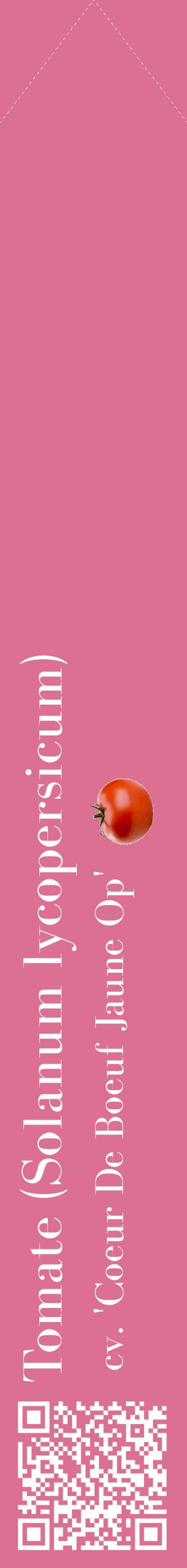 Étiquette de : Solanum lycopersicum cv. 'Coeur De Boeuf Jaune Op' - format c - style blanche44_simplebod avec qrcode et comestibilité simplifiée