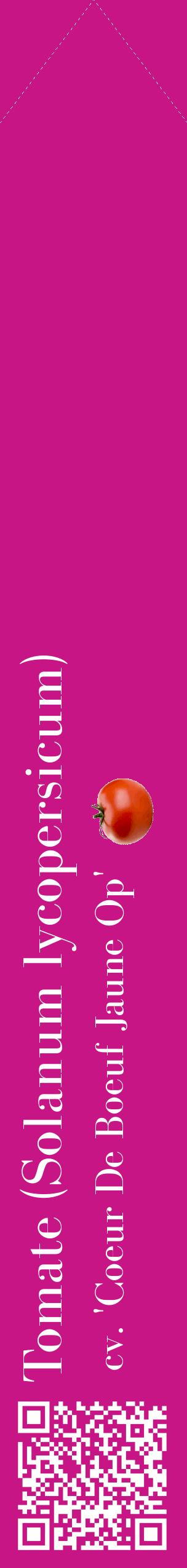 Étiquette de : Solanum lycopersicum cv. 'Coeur De Boeuf Jaune Op' - format c - style blanche45_simplebod avec qrcode et comestibilité simplifiée