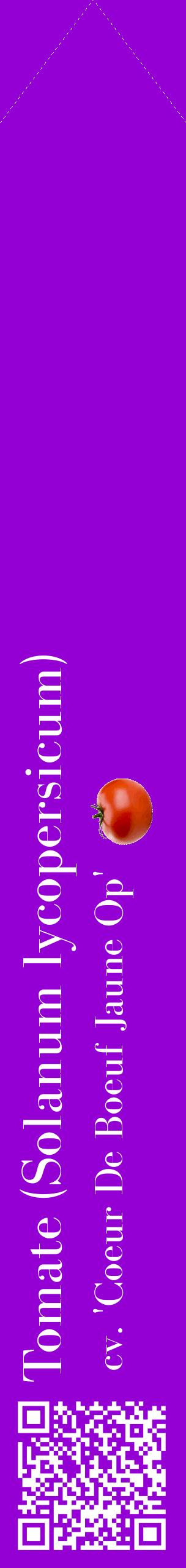 Étiquette de : Solanum lycopersicum cv. 'Coeur De Boeuf Jaune Op' - format c - style blanche48_simplebod avec qrcode et comestibilité simplifiée