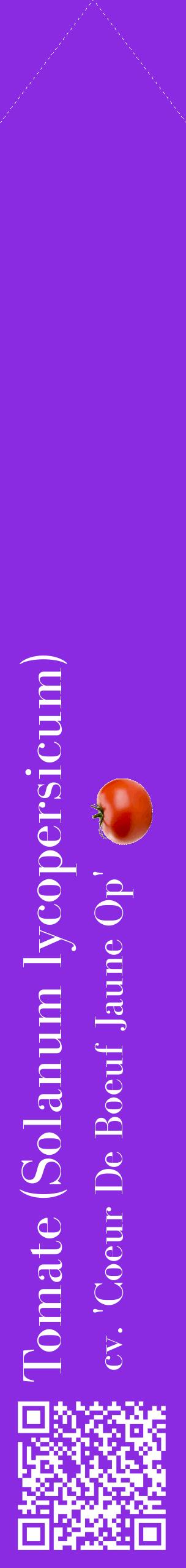 Étiquette de : Solanum lycopersicum cv. 'Coeur De Boeuf Jaune Op' - format c - style blanche49_simplebod avec qrcode et comestibilité simplifiée