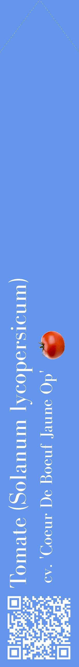Étiquette de : Solanum lycopersicum cv. 'Coeur De Boeuf Jaune Op' - format c - style blanche4_simplebod avec qrcode et comestibilité simplifiée