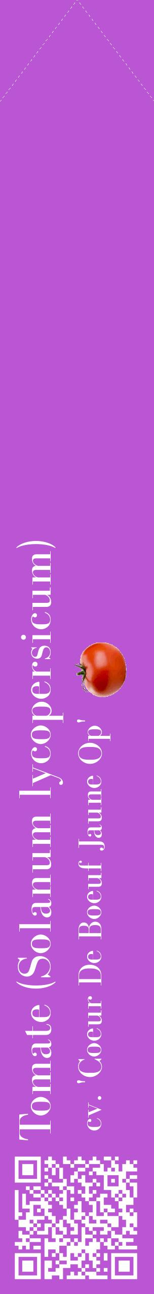 Étiquette de : Solanum lycopersicum cv. 'Coeur De Boeuf Jaune Op' - format c - style blanche50_simplebod avec qrcode et comestibilité simplifiée