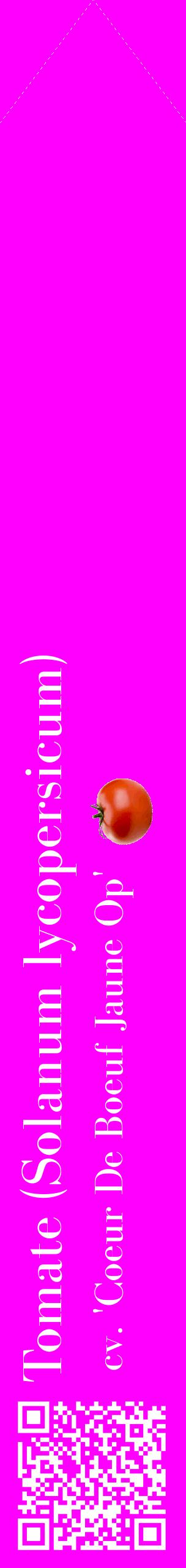 Étiquette de : Solanum lycopersicum cv. 'Coeur De Boeuf Jaune Op' - format c - style blanche51_simplebod avec qrcode et comestibilité simplifiée