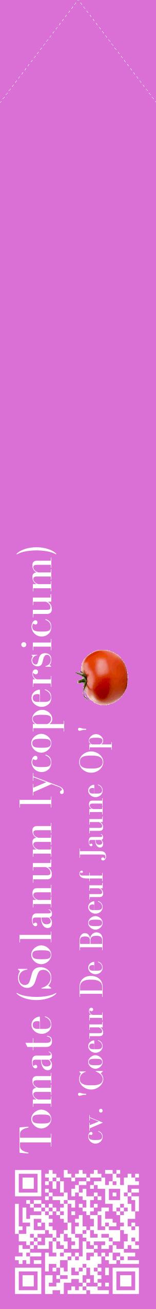 Étiquette de : Solanum lycopersicum cv. 'Coeur De Boeuf Jaune Op' - format c - style blanche52_simplebod avec qrcode et comestibilité simplifiée