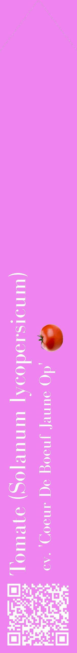 Étiquette de : Solanum lycopersicum cv. 'Coeur De Boeuf Jaune Op' - format c - style blanche53_simplebod avec qrcode et comestibilité simplifiée