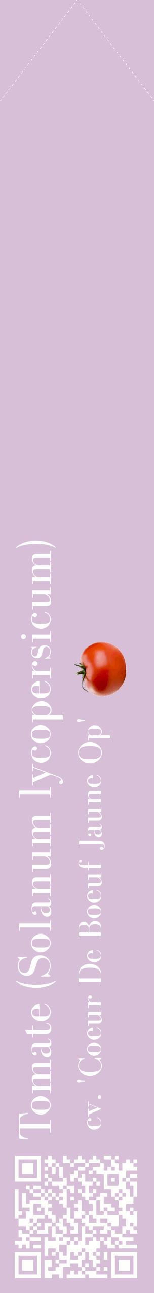 Étiquette de : Solanum lycopersicum cv. 'Coeur De Boeuf Jaune Op' - format c - style blanche54_simplebod avec qrcode et comestibilité simplifiée