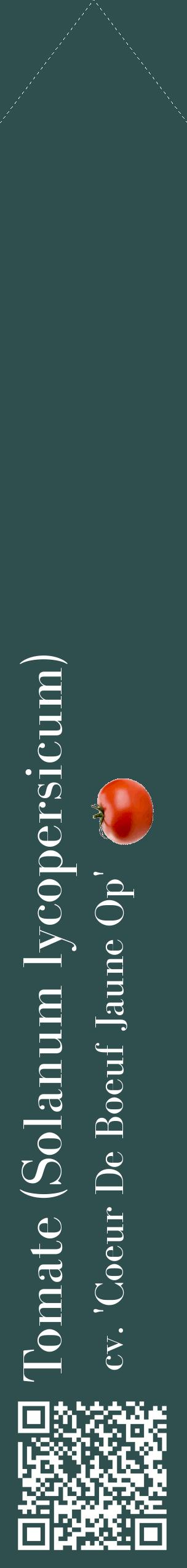 Étiquette de : Solanum lycopersicum cv. 'Coeur De Boeuf Jaune Op' - format c - style blanche58_simplebod avec qrcode et comestibilité simplifiée