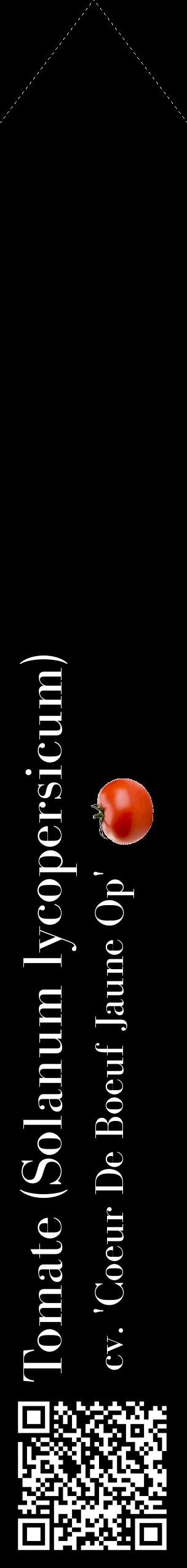 Étiquette de : Solanum lycopersicum cv. 'Coeur De Boeuf Jaune Op' - format c - style blanche59_simplebod avec qrcode et comestibilité simplifiée