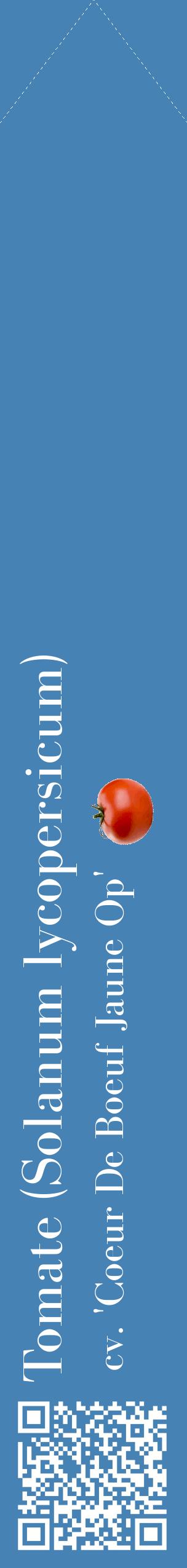 Étiquette de : Solanum lycopersicum cv. 'Coeur De Boeuf Jaune Op' - format c - style blanche5_simplebod avec qrcode et comestibilité simplifiée