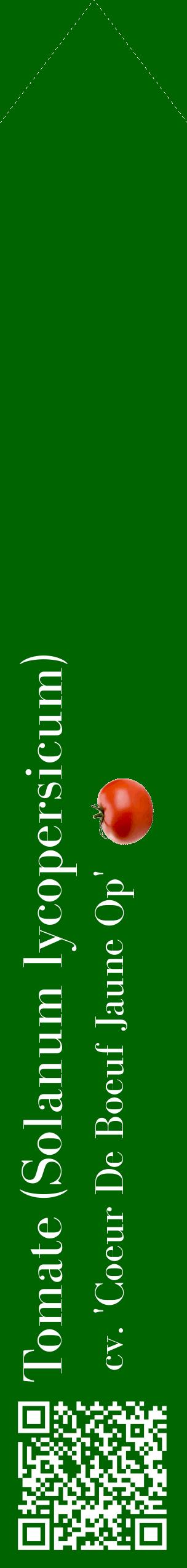 Étiquette de : Solanum lycopersicum cv. 'Coeur De Boeuf Jaune Op' - format c - style blanche8_simplebod avec qrcode et comestibilité simplifiée