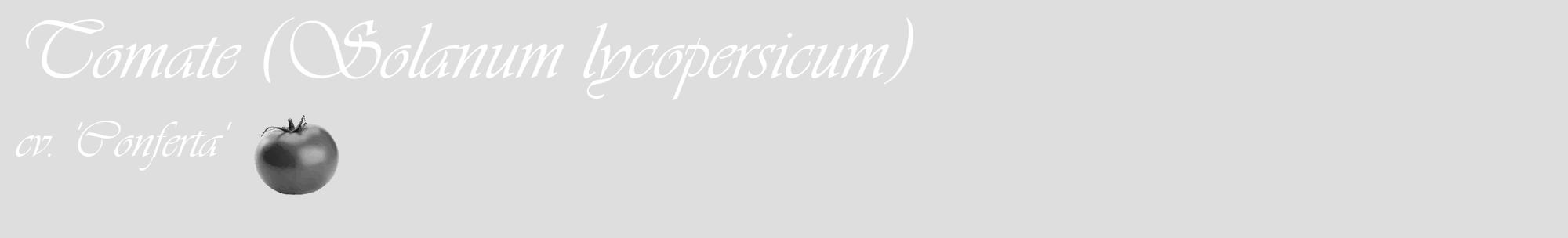 Étiquette de : Solanum lycopersicum cv. 'Conferta' - format c - style blanche20_basique_basiqueviv avec comestibilité simplifiée