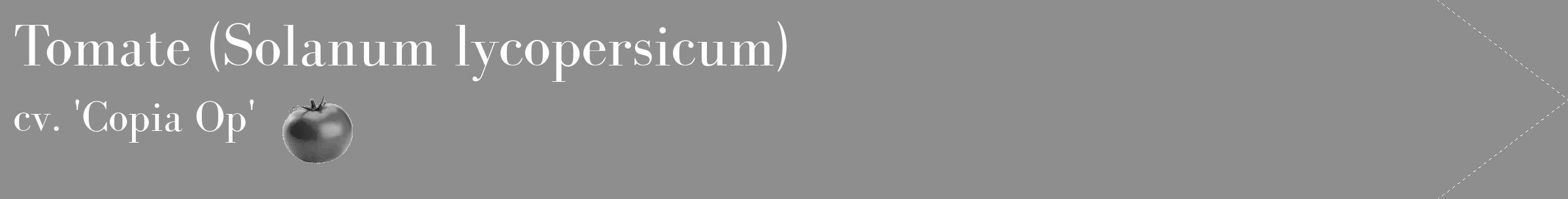 Étiquette de : Solanum lycopersicum cv. 'Copia Op' - format c - style blanche25_simple_simplebod avec comestibilité simplifiée