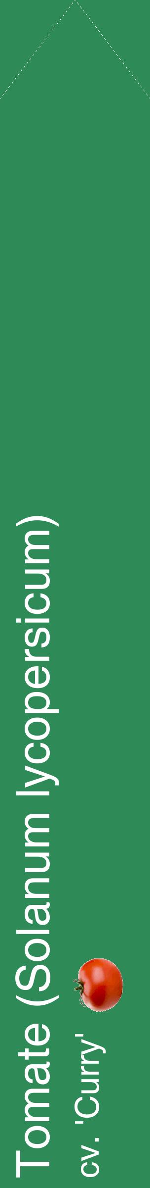 Étiquette de : Solanum lycopersicum cv. 'Curry' - format c - style blanche11_simplehel avec comestibilité simplifiée
