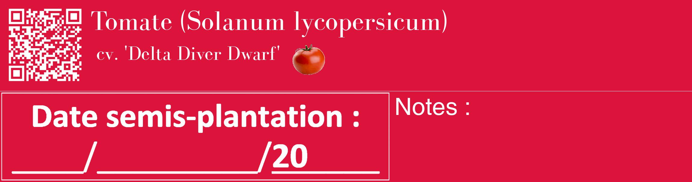 Étiquette de : Solanum lycopersicum cv. 'Delta Diver Dwarf' - format c - style blanche36_basique_basiquebod avec qrcode et comestibilité simplifiée