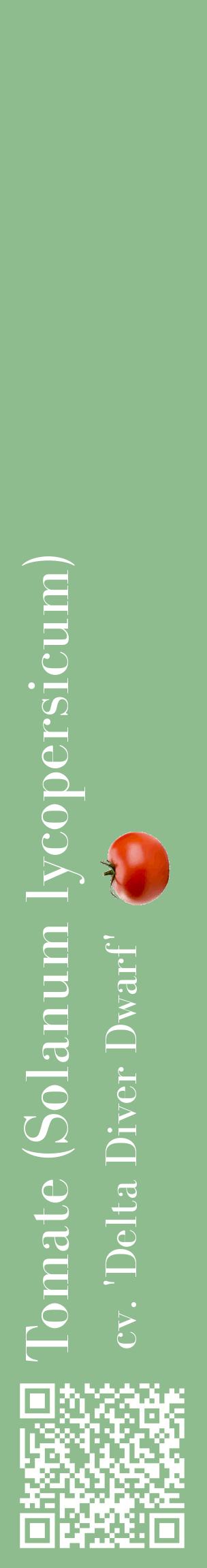 Étiquette de : Solanum lycopersicum cv. 'Delta Diver Dwarf' - format c - style blanche13_basiquebod avec qrcode et comestibilité simplifiée
