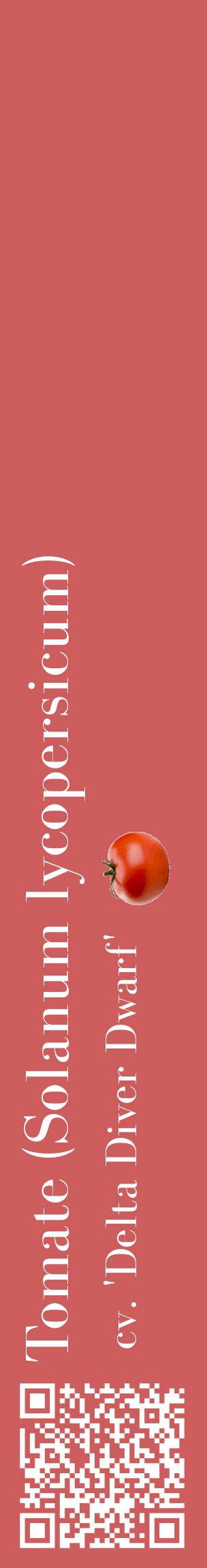 Étiquette de : Solanum lycopersicum cv. 'Delta Diver Dwarf' - format c - style blanche35_basiquebod avec qrcode et comestibilité simplifiée