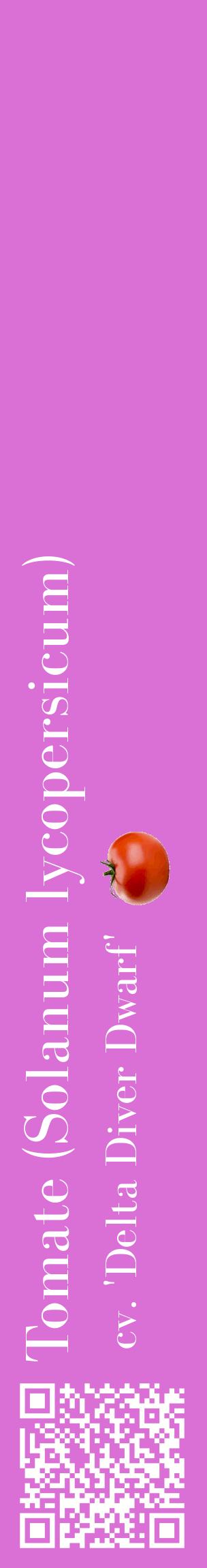 Étiquette de : Solanum lycopersicum cv. 'Delta Diver Dwarf' - format c - style blanche52_basiquebod avec qrcode et comestibilité simplifiée