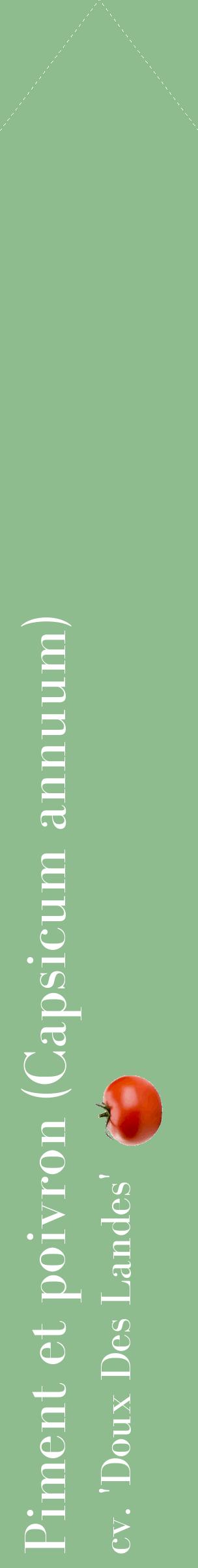 Étiquette de : Capsicum annuum cv. 'Doux Des Landes' - format c - style blanche13_simplebod avec comestibilité simplifiée