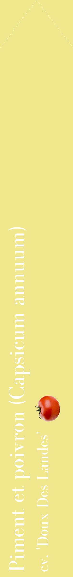 Étiquette de : Capsicum annuum cv. 'Doux Des Landes' - format c - style blanche20_simplebod avec comestibilité simplifiée