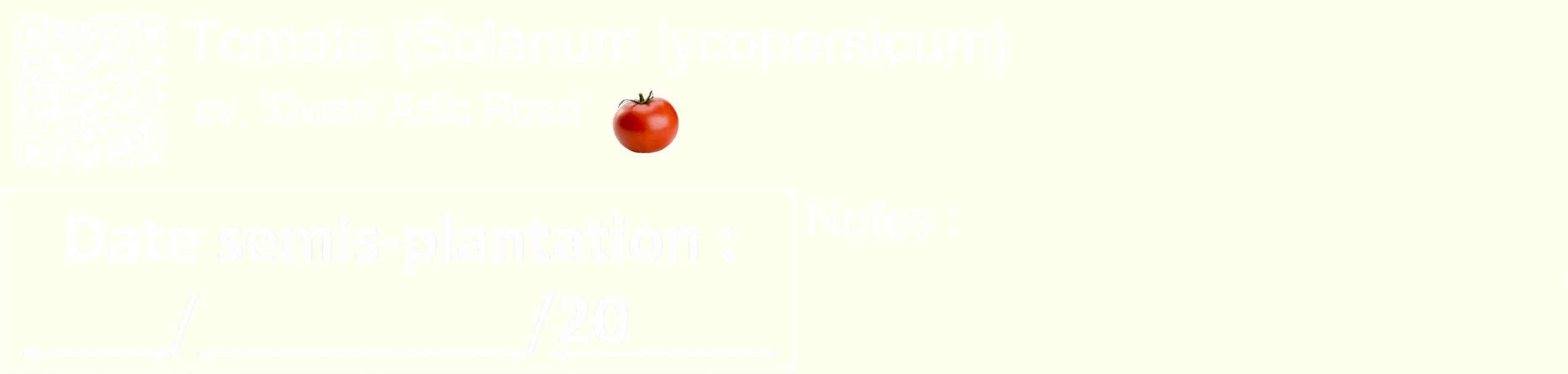 Étiquette de : Solanum lycopersicum cv. 'Dwarf Artic Rose' - format c - style blanche19_simple_simplehel avec qrcode et comestibilité simplifiée