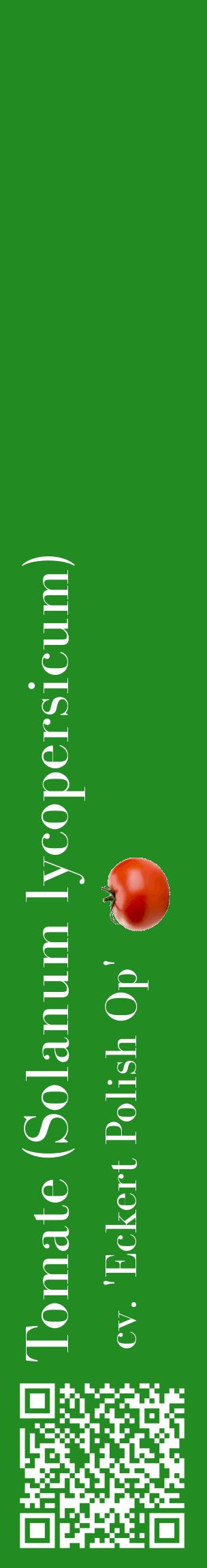 Étiquette de : Solanum lycopersicum cv. 'Eckert Polish Op' - format c - style blanche10_basiquebod avec qrcode et comestibilité simplifiée
