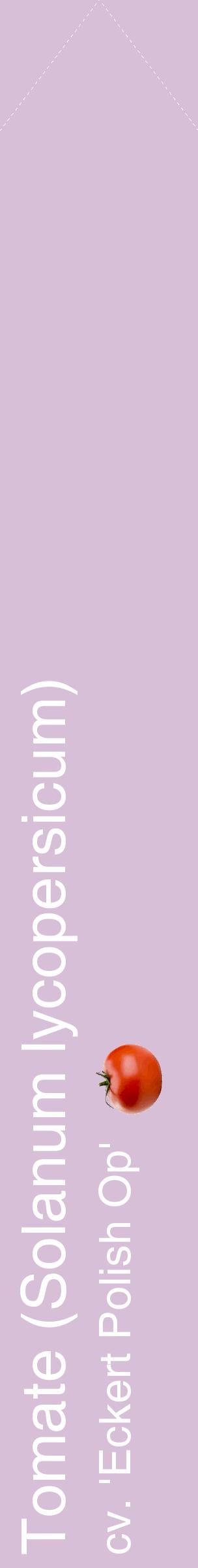 Étiquette de : Solanum lycopersicum cv. 'Eckert Polish Op' - format c - style blanche54_simplehel avec comestibilité simplifiée