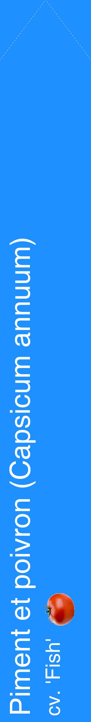 Étiquette de : Capsicum annuum cv. 'Fish' - format c - style blanche3_simplehel avec comestibilité simplifiée