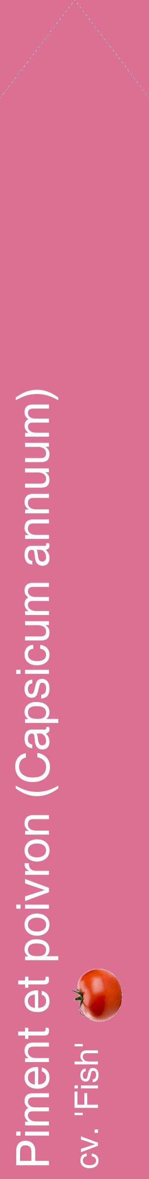 Étiquette de : Capsicum annuum cv. 'Fish' - format c - style blanche44_simplehel avec comestibilité simplifiée