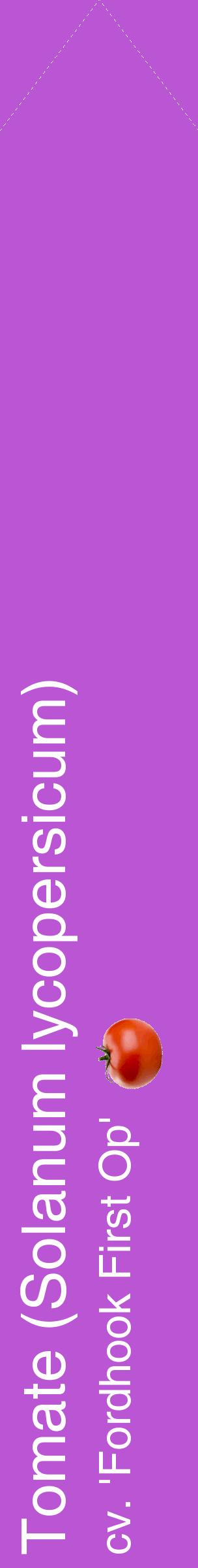 Étiquette de : Solanum lycopersicum cv. 'Fordhook First Op' - format c - style blanche50_simplehel avec comestibilité simplifiée