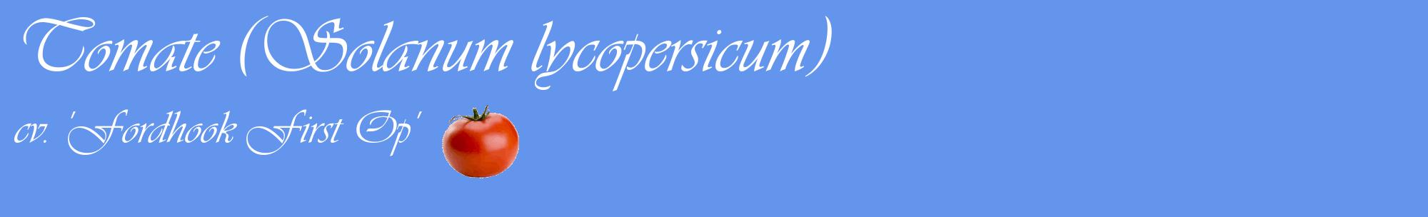 Étiquette de : Solanum lycopersicum cv. 'Fordhook First Op' - format c - style blanche4basique_basique_basiqueviv avec comestibilité simplifiée