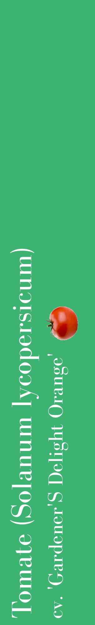 Étiquette de : Solanum lycopersicum cv. 'Gardener'S Delight Orange' - format c - style blanche12_basiquebod avec comestibilité simplifiée