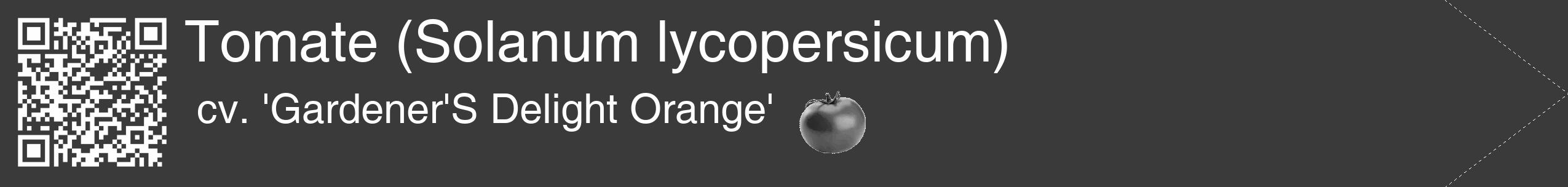 Étiquette de : Solanum lycopersicum cv. 'Gardener'S Delight Orange' - format c - style blanche8_simple_simplehel avec qrcode et comestibilité simplifiée
