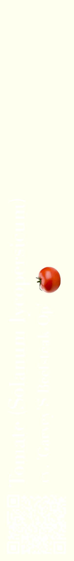 Étiquette de : Solanum lycopersicum cv. 'Garvey'S Beefsteak Op' - format c - style blanche19_basiquebod avec qrcode et comestibilité simplifiée