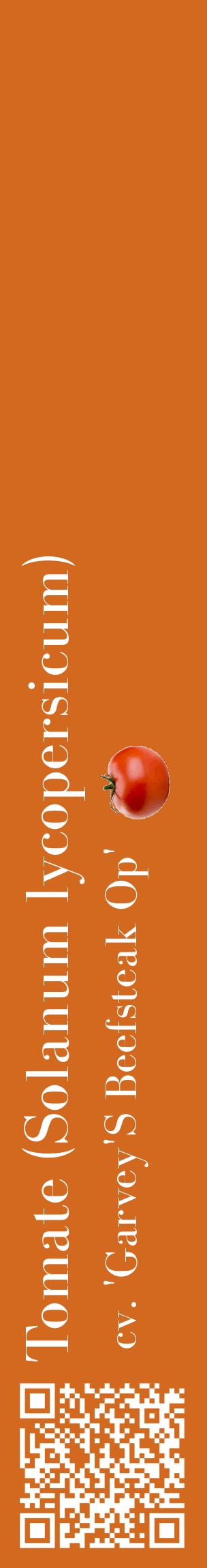 Étiquette de : Solanum lycopersicum cv. 'Garvey'S Beefsteak Op' - format c - style blanche31_basiquebod avec qrcode et comestibilité simplifiée