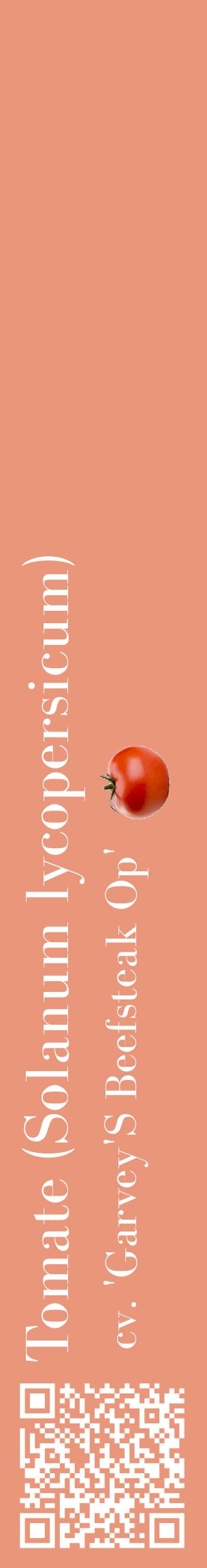 Étiquette de : Solanum lycopersicum cv. 'Garvey'S Beefsteak Op' - format c - style blanche37_basiquebod avec qrcode et comestibilité simplifiée