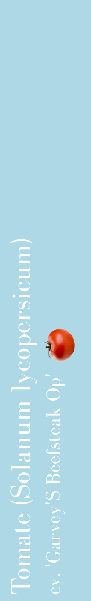 Étiquette de : Solanum lycopersicum cv. 'Garvey'S Beefsteak Op' - format c - style blanche0_basiquebod avec comestibilité simplifiée