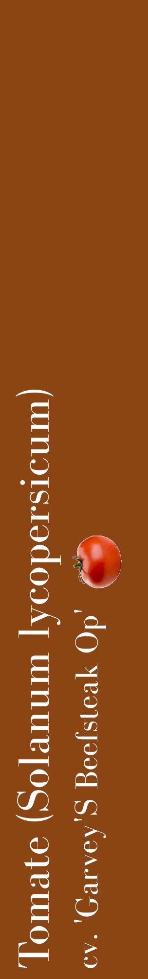 Étiquette de : Solanum lycopersicum cv. 'Garvey'S Beefsteak Op' - format c - style blanche30basique_basique_basiquebod avec comestibilité simplifiée - position verticale