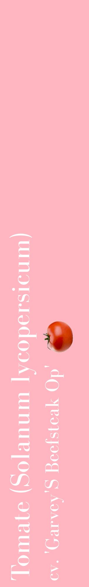 Étiquette de : Solanum lycopersicum cv. 'Garvey'S Beefsteak Op' - format c - style blanche41_basiquebod avec comestibilité simplifiée