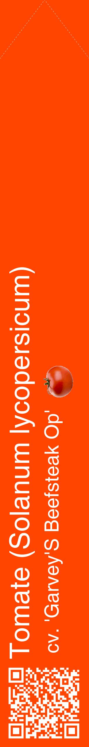 Étiquette de : Solanum lycopersicum cv. 'Garvey'S Beefsteak Op' - format c - style blanche26_simplehel avec qrcode et comestibilité simplifiée
