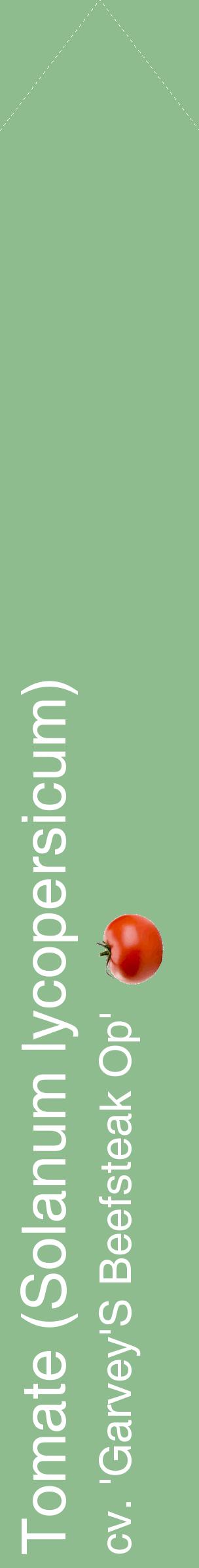 Étiquette de : Solanum lycopersicum cv. 'Garvey'S Beefsteak Op' - format c - style blanche13_simplehel avec comestibilité simplifiée
