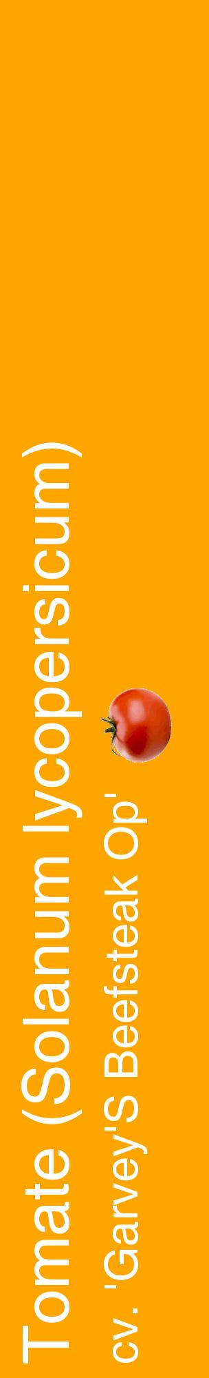 Étiquette de : Solanum lycopersicum cv. 'Garvey'S Beefsteak Op' - format c - style blanche22_basiquehel avec comestibilité simplifiée