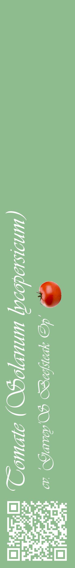Étiquette de : Solanum lycopersicum cv. 'Garvey'S Beefsteak Op' - format c - style blanche13_basiqueviv avec qrcode et comestibilité simplifiée