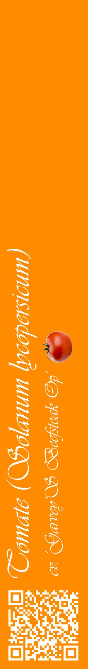 Étiquette de : Solanum lycopersicum cv. 'Garvey'S Beefsteak Op' - format c - style blanche23_basiqueviv avec qrcode et comestibilité simplifiée