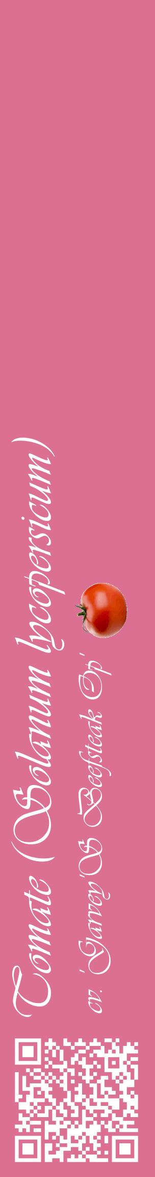 Étiquette de : Solanum lycopersicum cv. 'Garvey'S Beefsteak Op' - format c - style blanche44_basiqueviv avec qrcode et comestibilité simplifiée