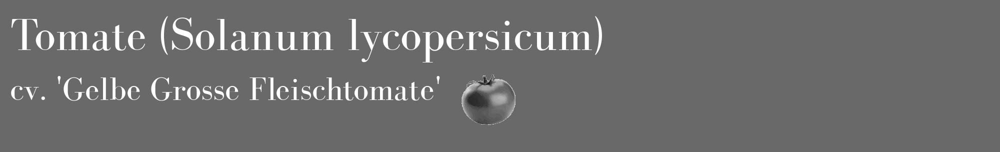 Étiquette de : Solanum lycopersicum cv. 'Gelbe Grosse Fleischtomate' - format c - style blanche11basique_basique_basiquebod avec comestibilité simplifiée