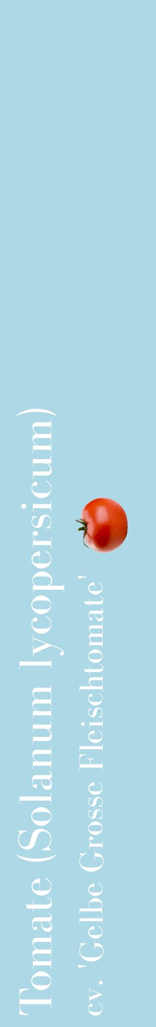 Étiquette de : Solanum lycopersicum cv. 'Gelbe Grosse Fleischtomate' - format c - style blanche0_basiquebod avec comestibilité simplifiée