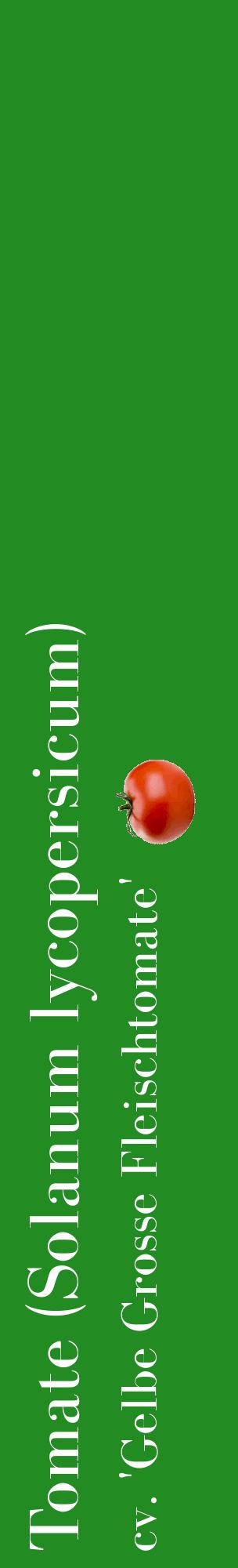 Étiquette de : Solanum lycopersicum cv. 'Gelbe Grosse Fleischtomate' - format c - style blanche10_basiquebod avec comestibilité simplifiée