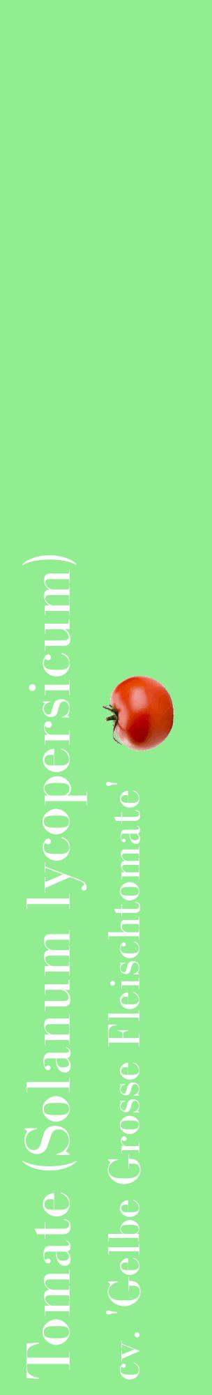 Étiquette de : Solanum lycopersicum cv. 'Gelbe Grosse Fleischtomate' - format c - style blanche15_basiquebod avec comestibilité simplifiée