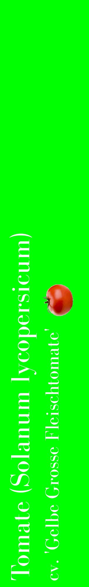 Étiquette de : Solanum lycopersicum cv. 'Gelbe Grosse Fleischtomate' - format c - style blanche16_basiquebod avec comestibilité simplifiée